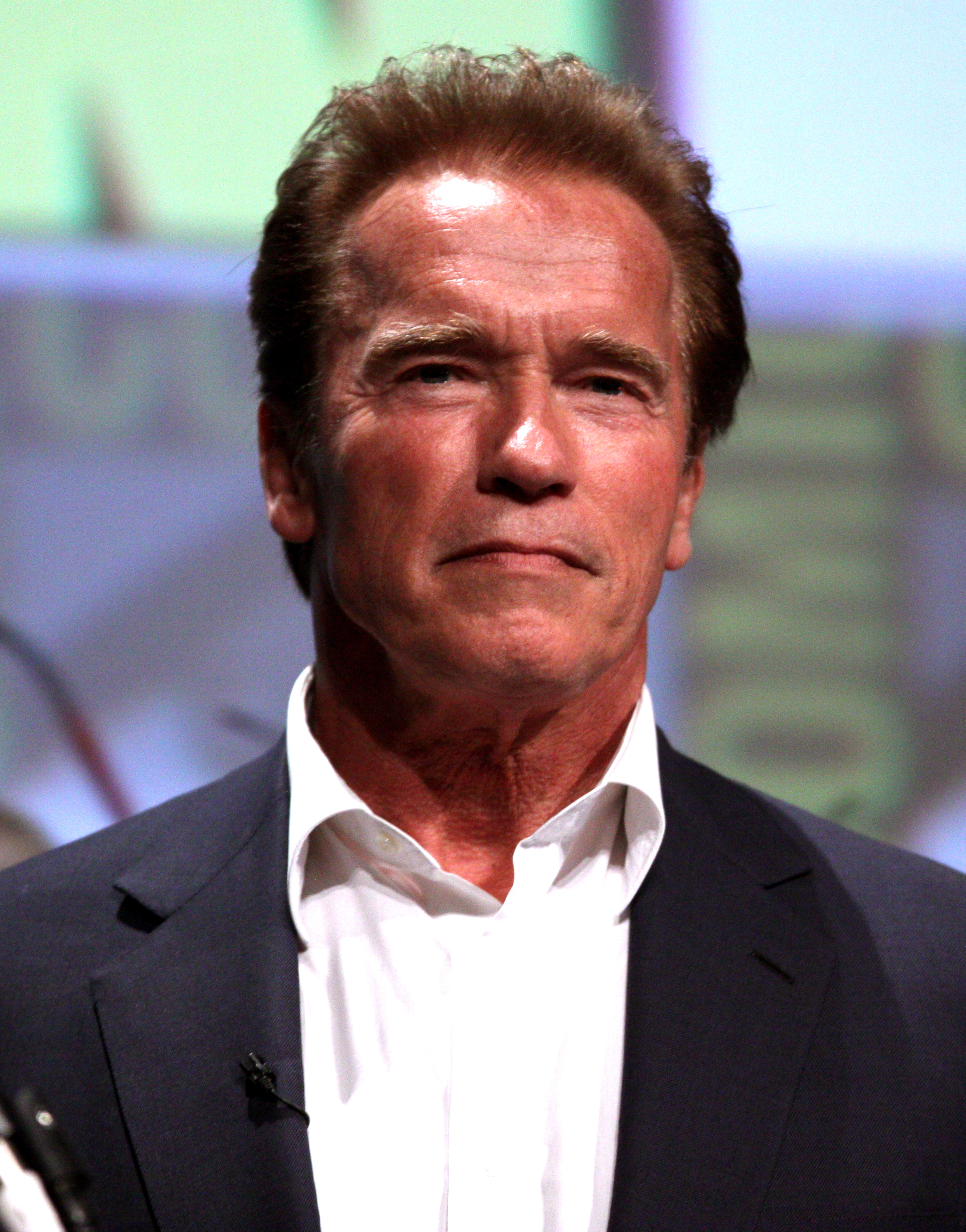 Photo:  Arnold Schwarzenegger 01